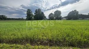 Działka 30 018,00 m², Sądrożyce, Sprzedaż