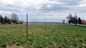Działka 3 000,00 m², Sokolniki, Sprzedaż