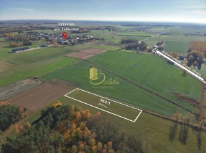 Działka 2 987,00 m², Rzepniki, Sprzedaż