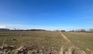 Działka 5 800,00 m², Gnojno, Sprzedaż
