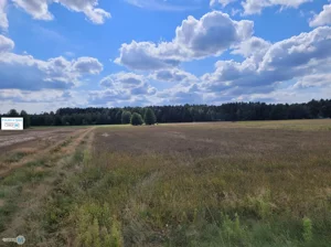 Działka 8 000,00 m², Kluczewsko, Sprzedaż