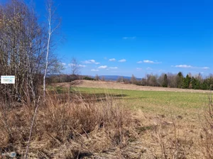 Działka 5 974,00 m², Łagów, Sprzedaż