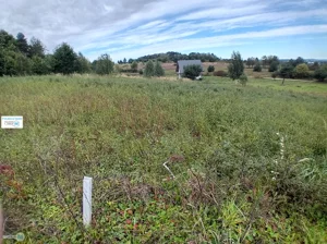 Działka 800,00 m², Morawica, Sprzedaż