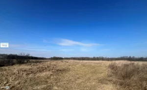 Działka 43 100,00 m², Śladków Duży, Sprzedaż