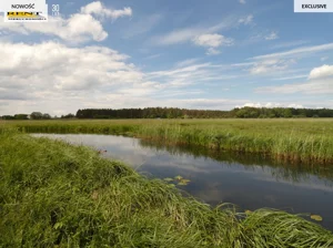 Działka 8 600,00 m², Stepniczka, Barnima II, Sprzedaż