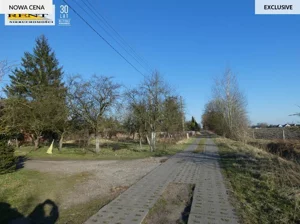 Działka 3 005,00 m², Białuń, Sprzedaż