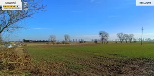 Działka 3 000,00 m², Bielice, Sprzedaż