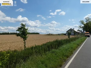 Działka 1 250,00 m², Dębice, Sprzedaż