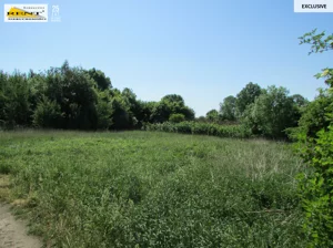 Działka 3 300,00 m², Sadlno, Sprzedaż