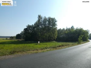 Działka 9 597,00 m², Tarnówko, Sprzedaż
