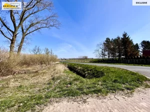 Działka 1 343,00 m², Trzebusz, Sprzedaż