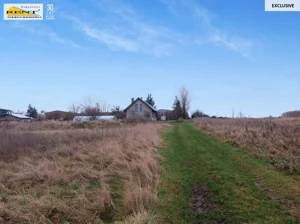 Działka 4 000,00 m², Wąwelnica, Sprzedaż