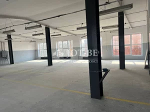 Magazyn 250,00 m², Ciechów, Wynajem