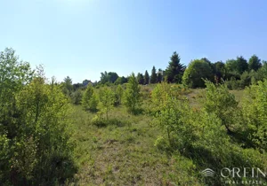 Działka 1 872,00 m², Koleczkowo, Marchowska, Sprzedaż
