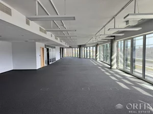Biuro 812,00 m², Gdynia, Mały Kack, Sportowa, Wynajem