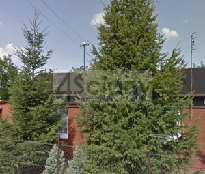 Dom wolnostojący 51,00 m², Grodzisk Mazowiecki, Sprzedaż
