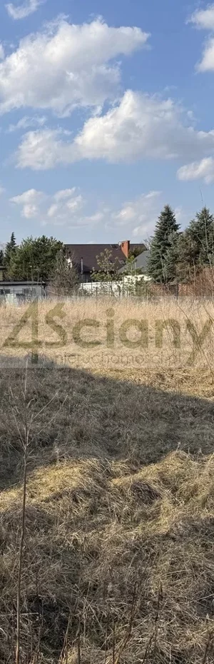 Działka 745,00 m², Bieniewice, Sprzedaż