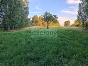 Działka 16 000,00 m², Biernik, Sprzedaż