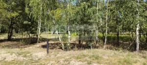 Działka 1 500,00 m², Błonie, Sprzedaż