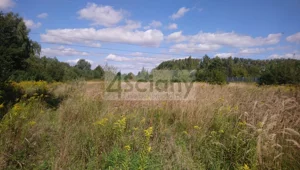 Działka 11 854,00 m², Brwinów, Sprzedaż