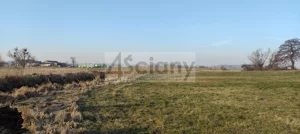 Działka 7 855,00 m², Cholewy, Sprzedaż