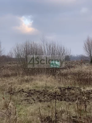 Działka 5 183,00 m², Duchnów, Sprzedaż