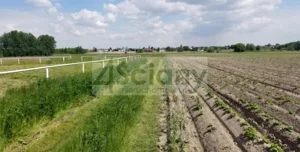 Działka 950,00 m², Falenty Nowe, Sprzedaż