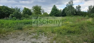 Działka 2 200,00 m², Gołków, Sprzedaż