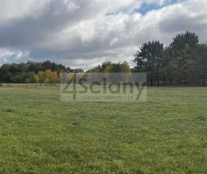 Działka 1 660,00 m², Grodzisk Mazowiecki, Sprzedaż