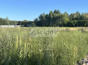 Działka 1 716,00 m², Grzędy, Sprzedaż