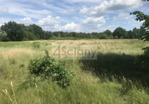 Działka 22 600,00 m², Józefów, Sprzedaż