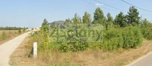 Działka 1 115,00 m², Kaliszki, Sprzedaż