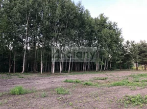 Działka 1 674,00 m², Komorów, Sprzedaż