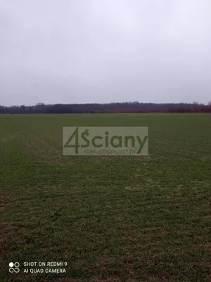 Działka 3 000,00 m², Kromnów, Sprzedaż