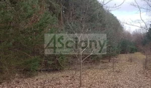 Działka 1 768,00 m², Nadarzyn, Sprzedaż