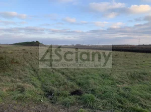 Działka 9 900,00 m², Nowa Wola, Sprzedaż