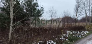 Działka 3 600,00 m², Nowy Prażmów, Sprzedaż