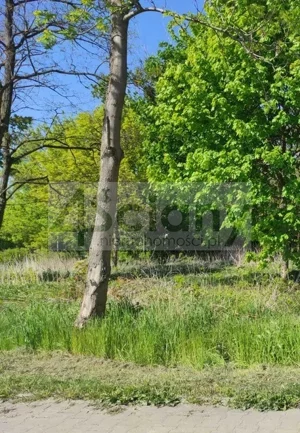 Działka 1 274,00 m², Parzniew, Sprzedaż