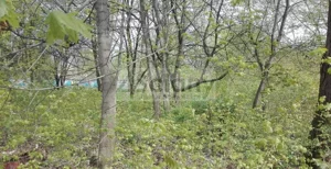 Działka 4 686,00 m², Piastów, Sprzedaż
