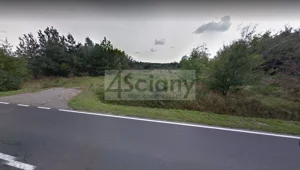 Działka 13 205,00 m², Piotrkowice, Sprzedaż