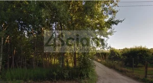 Działka 6 490,00 m², Prace Duże, Sprzedaż