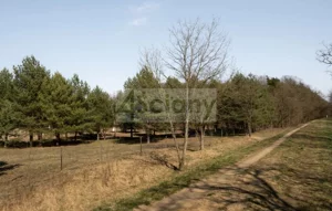 Działka 1 906,00 m², Rajszew, Sprzedaż