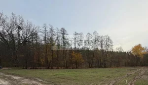 Działka 1 849,00 m², Rozalin, Sprzedaż
