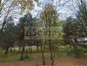 Działka 1 500,00 m², Rozalin, Sprzedaż