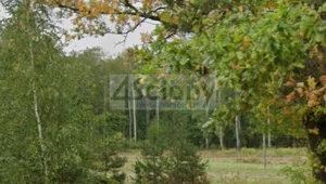 Działka 1 402,00 m², Rusiec, Sprzedaż