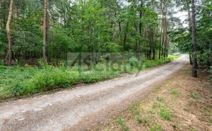 Działka 2 100,00 m², Sękocin-Las, Sprzedaż