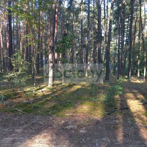Działka 2 100,00 m², Sękocin-Las, Sprzedaż