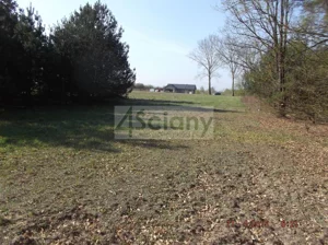 Działka 21 000,00 m², Sierzchów, Sprzedaż