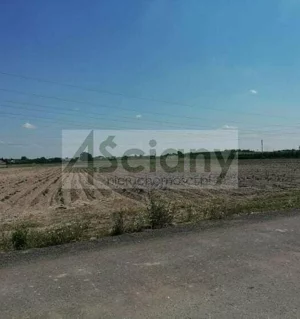 Działka 34 100,00 m², Sokołów, Sprzedaż