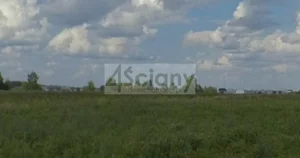 Działka 3 348,00 m², Sokołów, Sprzedaż